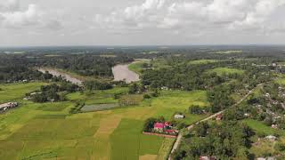 Rice Field Inspection