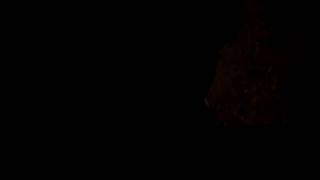SAM_1268.AVI