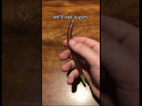 How to rig