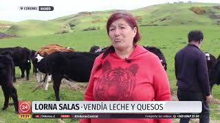 Cientos de animales han muerte en la isla Santa María: Piden ayuda a las autoridades