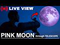 Pink Moon 1st April Through My Telescope