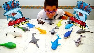 THE EPIC ANIMALS MEGA SQUALI GEL EDITION - Leo Toys THE EPIC ANIMALS MEGA SQUALI GEL EDITION - Leo Toys