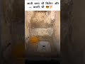 ✨✨. tittle of. toilet.😅😅😅🗯️🗯️🗯️