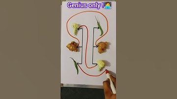 Only for a Genius!   Concept Matching to Circle without crossing the lines! #viral #mathstricks