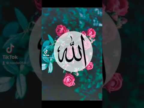 يارب العالمين الله الله صلي علي طه الامين الله الله