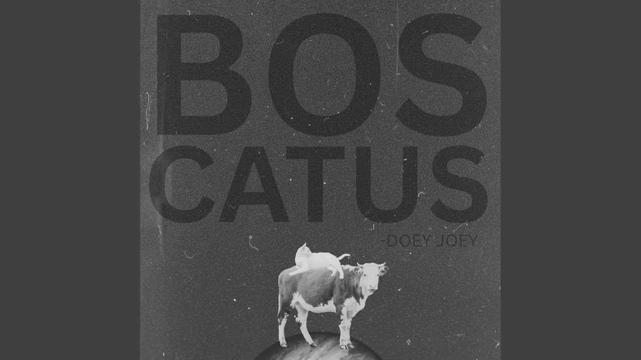 Watch CATUS on YouTube Watch CATUS on YouTube