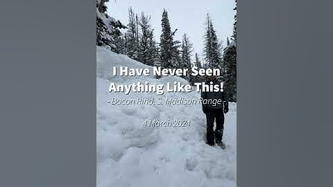 I have never seen anything like this - Bacon Rind - 4 March 2024