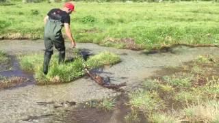 OMG!!!! HE CAUGHT A BIG FISH WITHOUT A ROD