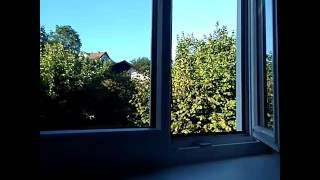 So ist das Anonymous Leben?!