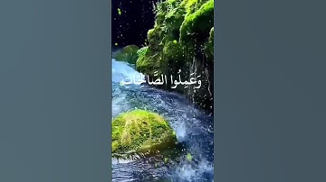 اللهم اجعل القرآن الكريم ربيع قلوبنا ونور صدورنا #shortvideo #اكسبلور #الرحمن #المصحف #لايك #تيك_توك