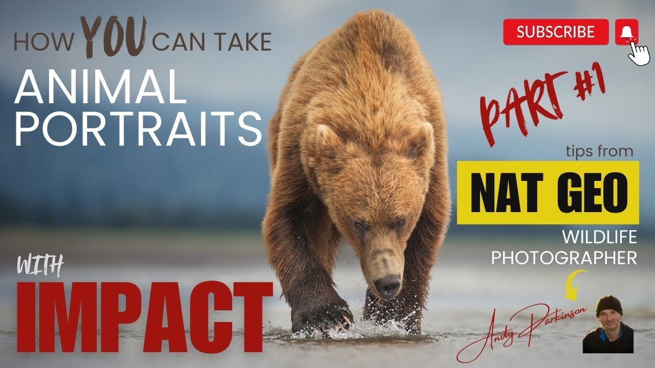 Портреты животных с эффектом! Советы фотографа NAT GEO... Часть 1 из 2