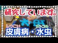 効く水虫薬をお探しの方に♡生薬配合【アンカビンミック】薬局お仕事ルーティン動画/漢方薬剤師心理カウンセラーがいる京都女性漢方まつみ薬局