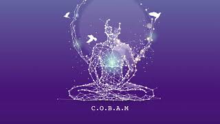 Cobam  Down To Earth