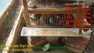 কম খরচে কোয়েল পাখির খাচা তৈরী করুন নিজেই। #birdcase