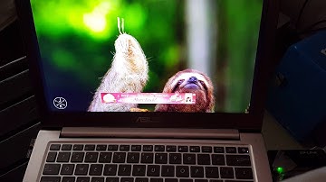 Asus Dual Boot Yosemite and Windows 10