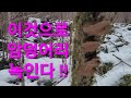 건강을위한 최고의효능 !!