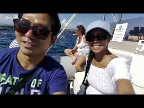 DST Sardegna Diving, Dolphin watching and Snorkelling, Golfo Aranci, Sardegna, Italy