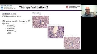 Nick Todd: Enhancing Delivery of Molecular Therapies to the CNS for Genetic Neurological Disorders