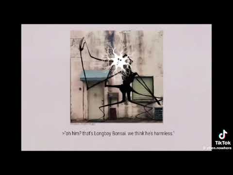 Longboy bonsai | doctor nowhere 