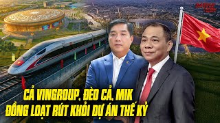 THE BILLION-DOLLAR PLOT TWIST: WHY DID VINGROUP, DEO CA, AND MIK ALL WITHDRAW FROM THE NORTH-SOUT...