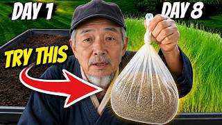 The FASTEST Way to Grow Grass Seed: Pregermination Secrets REVEALED!