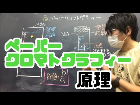 ペーパークロマトグラフィーの原理　高校生物　paper chromatography