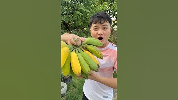 Nải Chuối Siêu To Biến Thành Quái Vật #funny #memes