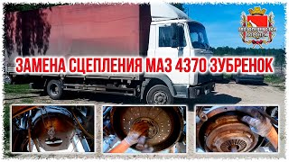 Замена сцепления маз 4370 зубренок