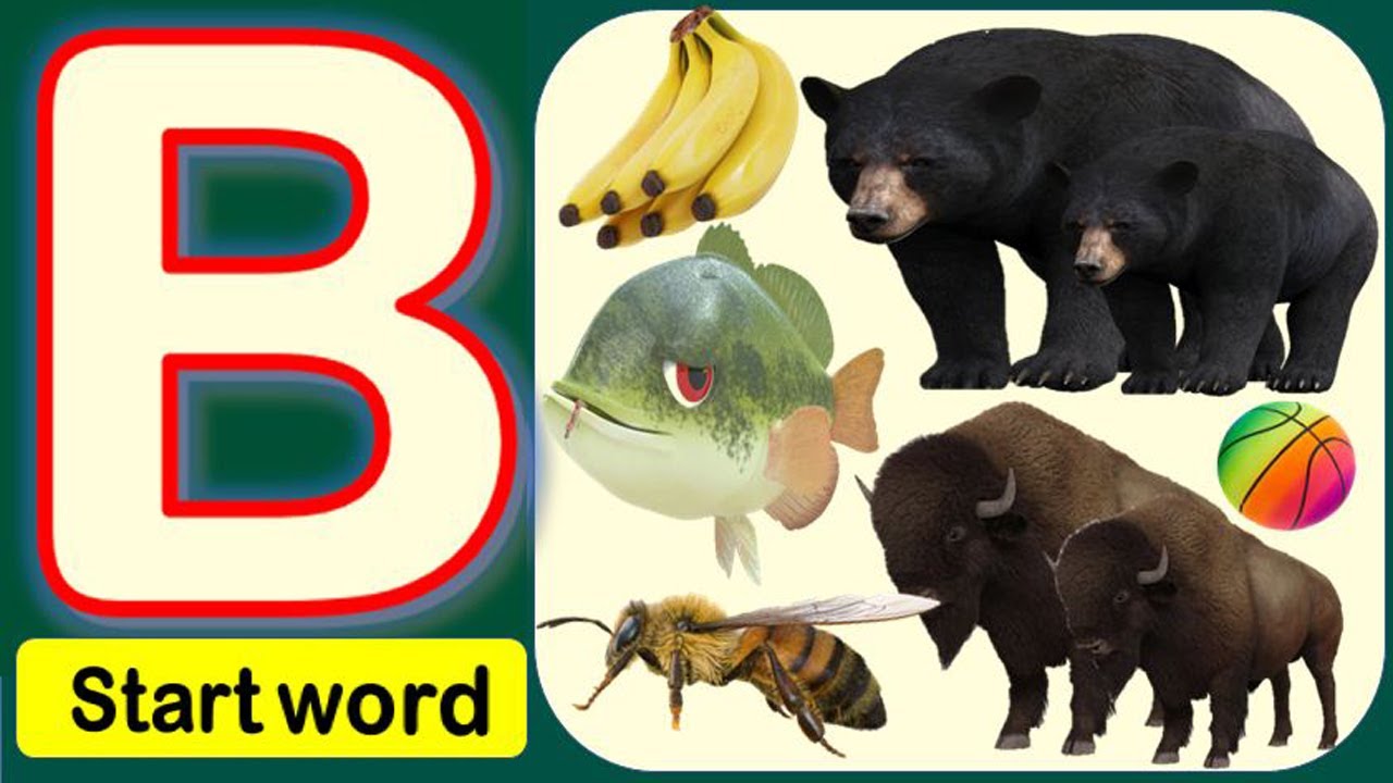 Words That Start With B Words With Letter B For Kindergarten Kids 