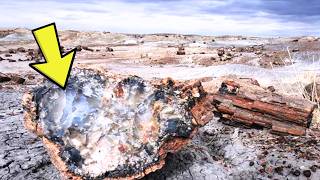 Scientis Found a 280 MILLION-Year-Old FOREST Discovered In Antarcticam it Hold Shocking Discoveries