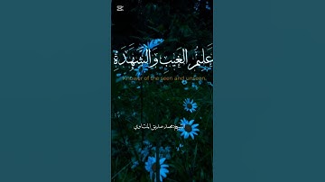 هو الله الذي لا اله الا هو عالم الغيب 🌿💿♥️ #القرآن_الكريم #اكسبلور #تلاوة_خاشعة #تلاوة_تهز_القلوب