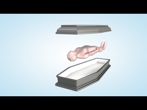 Video: Alcuni Dettagli Su Crematori E Cremazioni Di Cui Avevi Paura Di Chiedere - Visualizzazione Alternativa