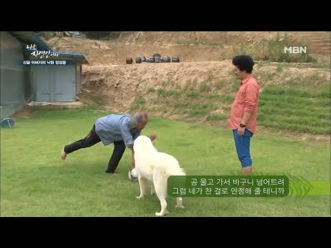 뚱순이와 함께 축구 한판승부!! [나는 자연인이다 103회]