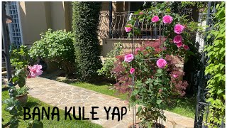 Sarmaşık Gül Yetiştirme,Gül Kulesi Yapımı