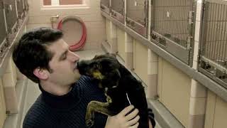 Overcrowded animal shelters need our help