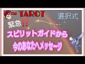 #カードリーディング#直感タロット占い✨見た時がタイミング👀🌋緊急メッセージ！【スピリットガイドから今のあなたへメッセージ💌】何か伝えたいようです|ω･`)ｺｿ
