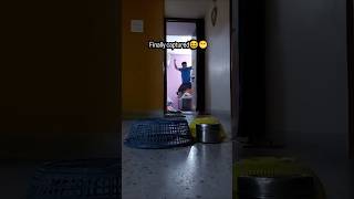 Captured a चुहिया🐁 with home made trap😆😁 #tips #funny #mouse #reelsindia #entertainment