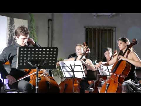 8 July 2016-21.15- V.Herbert: Concerto-Maximilian Hornung,  Casalmaggiore Strings.