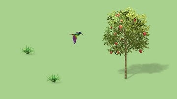 3D Model Bird Animation in PowerPoint 2021