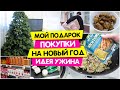 Мой Подарок / ЗАКУПКИ на новый год / Индейка по АЗИАТСКИ с гречкой / Vika Siberia LifeVlog