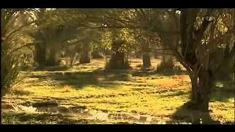 A quoi ressemblaient les villes de Mésopotamie