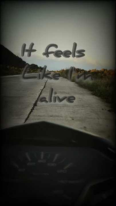 Incubus - love hurts (ride)