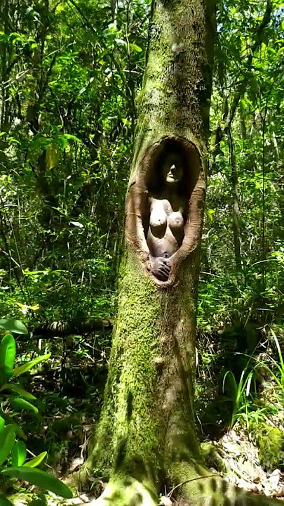 Misteriosa mujer en el bosque #paisajes #venezuela #nature #landscape #misterio #bosque #merida