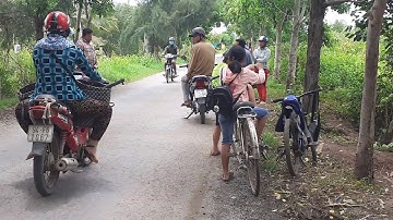 Sơn Đông Mại Võ: Trị bệnh đau lưng, nhất khớp, nhất răng...