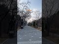 Winter: Seoul grand park