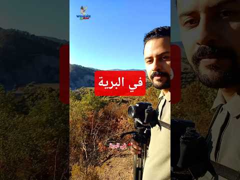 يوم في البرية هو يوم في الجنة الحياة البرية    اكسبلور