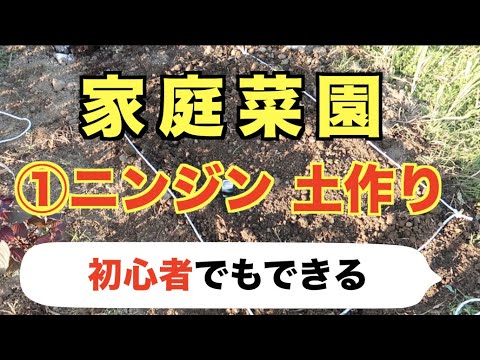 #1.ニンジンの育て方【家庭菜園】初心者も簡単です！