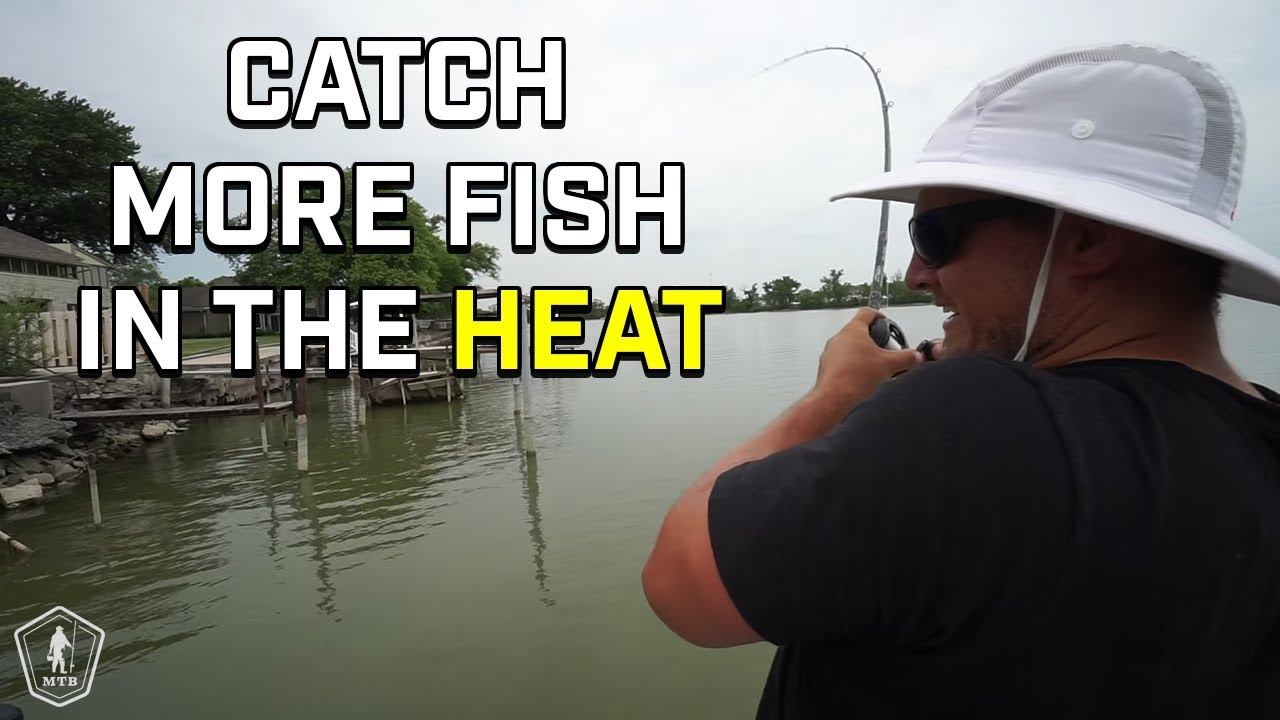 Post Spawn Bass Fishing Tips For The Summer Heat