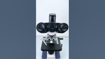 Yakult magnified 400X is seriously awesome!#underthemicroscope #science #microscope