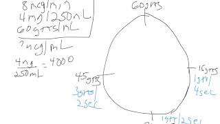 Norepinephrine Clock 2